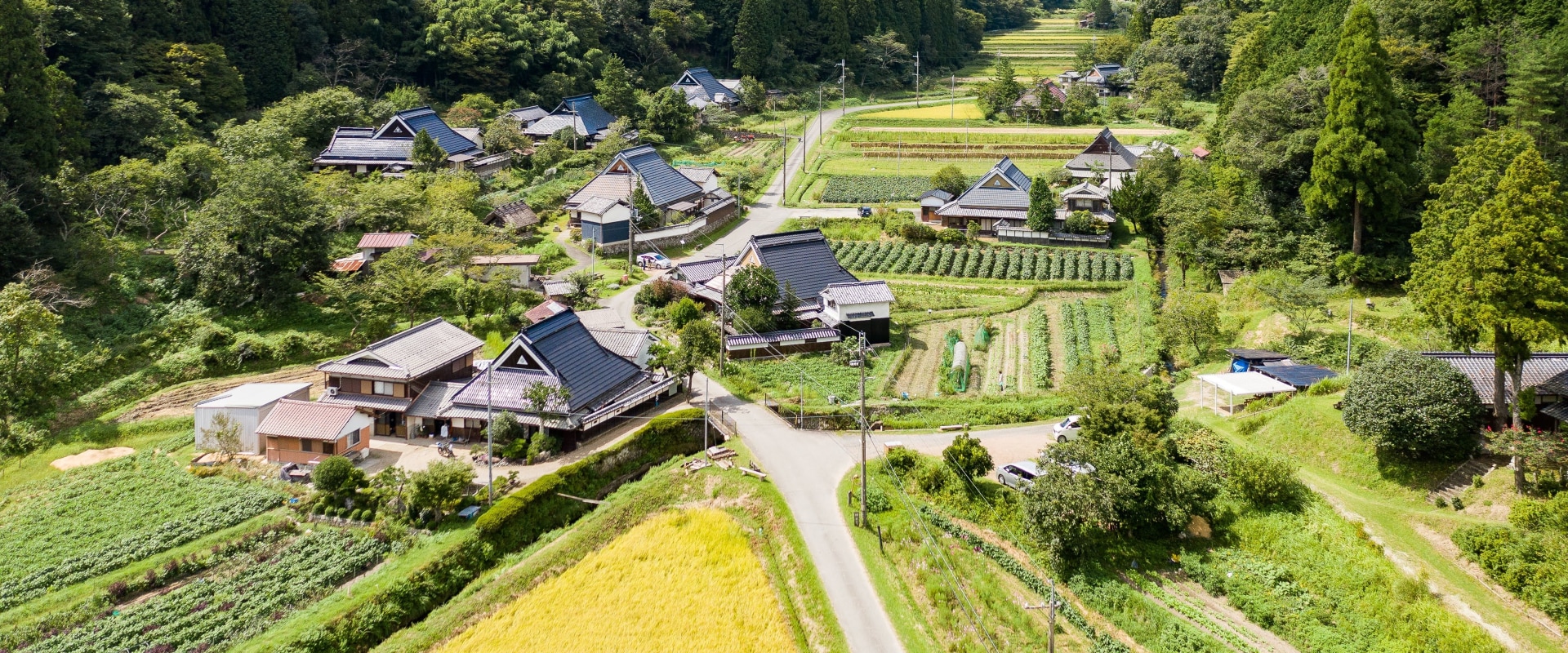 Enhance Your Business Security with IT Consulting in Valley Village